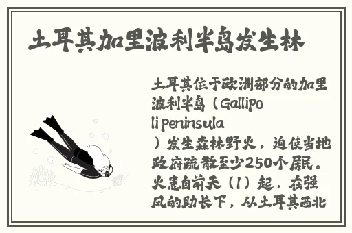 麻花传苏语棠咖啡屋